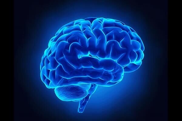 تاثیر سن نیمکره چپ و راست مغز بر بیماری آلزایمر