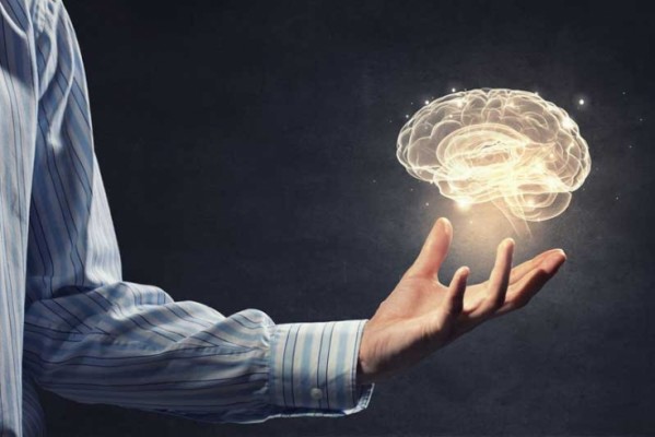 چگونه مغز مان مطالب را به خاطر می سپارد؟