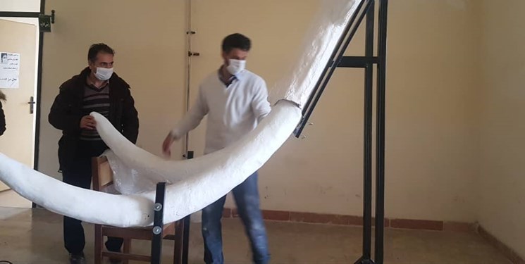 نصب فسیل ماموت دو میلیون ساله در اردبیل