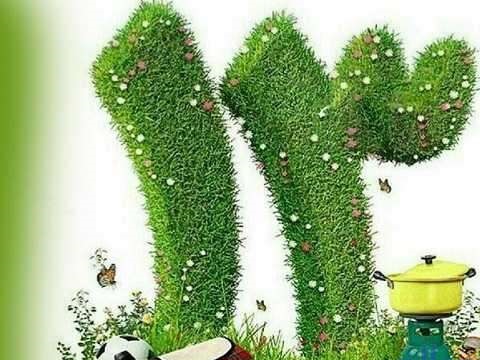 ممنوعیت تجمع در پارک‌های 117 شهر در 13 نوروز