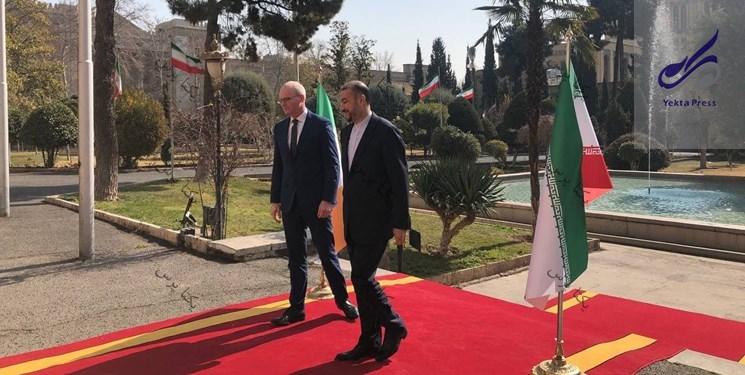 وزیر خارجه ایرلند با امیرعبداللهیان دیدار کرد
