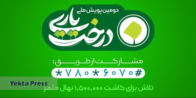 درختکاری