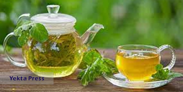 چرا باید «چای سبز» بخوریم؟