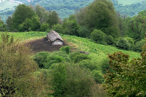 جنگل الیمستان 