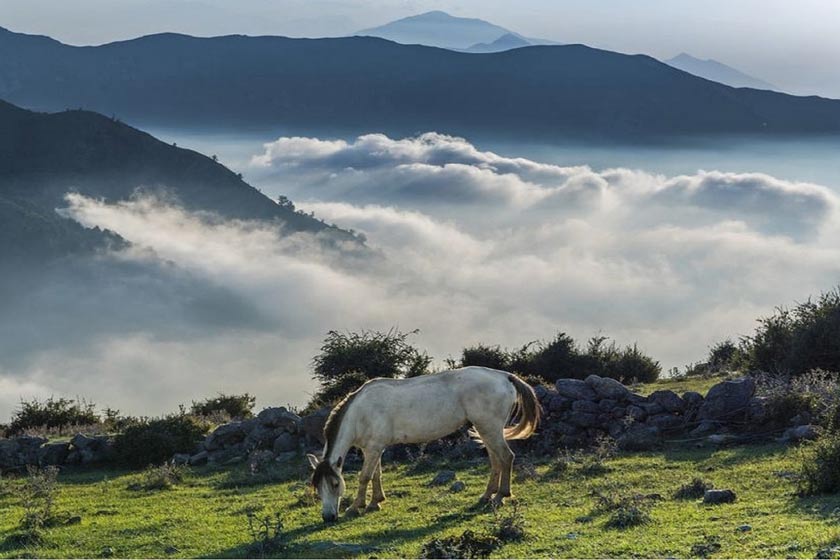 روستای فیلبند