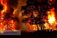 جدال با آتش در ارتفاعات نارك گچساران /فیلم