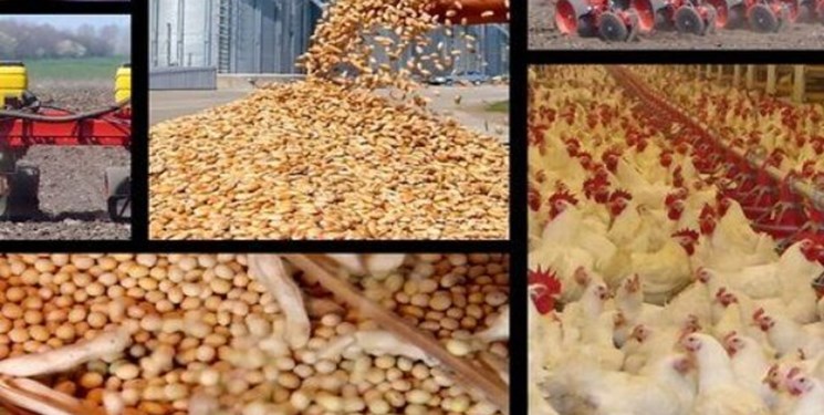 نهاده‌های دامی