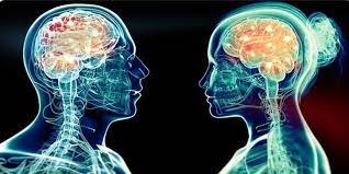 تفاوت مغز زنان با مردان