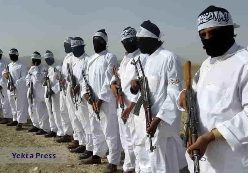 طالبان: علیه ماموران و کارمندان دولتی در نیمروز و دیگر ولایت‌ها خطری وجود ندارد