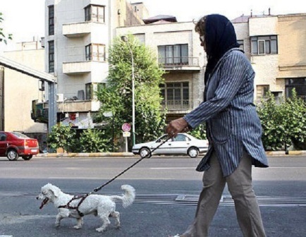 برخورد پلیس با سگ گردانی درخودرو