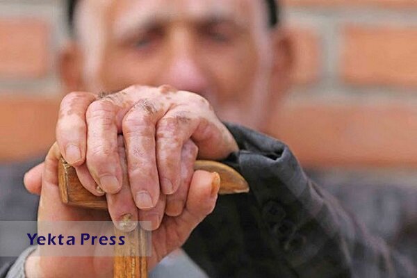تعداد مراکز نگهداری سالمندان در سمنان