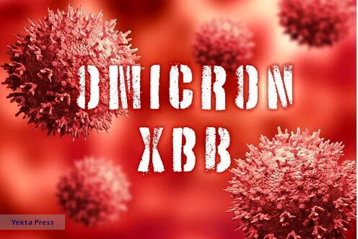 خبری درباره کرونای XBB