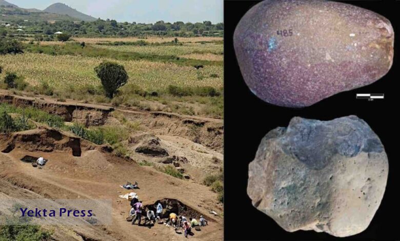 کشف قدیمی ترین شواهد استفاده از ابزار توسط انسان