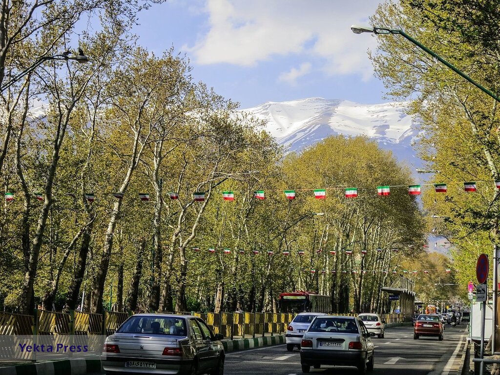 ۳۰۰ اصله درخت چنار در خیابان ولیعصر کاشته می شود