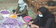 افتتاح ۸۸۸ طرح تعاونی در کشور