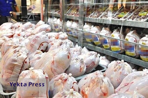 افزایش عرضه مرغ از شنبه