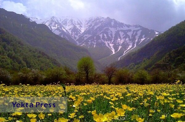 اگر بهشت اینجا نیست پس کجاست؟