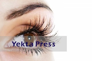 تقویت مژه و ابرو با چند روش خانگی موثر!!