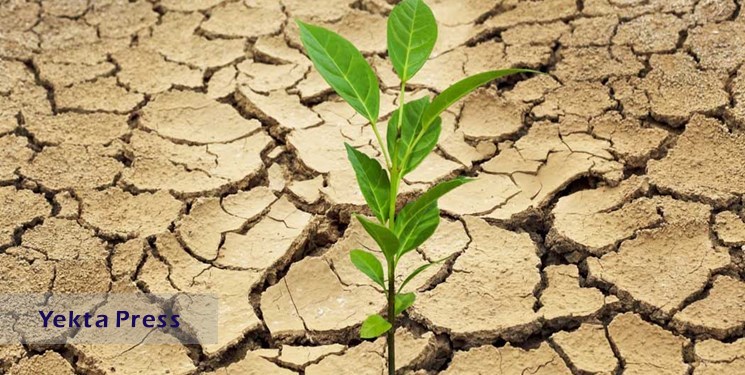تاثیر‌ خشکسالی بر نرخ بیکاری فصل بهار