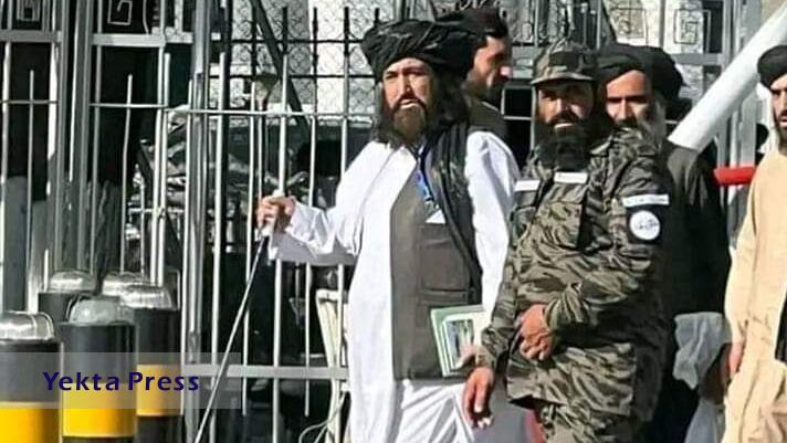فرمانده نریع طالبان در تصادف جان باخت