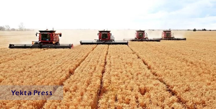 آمریکایی‌ها برنده مناقصه فروش گندم به عراق