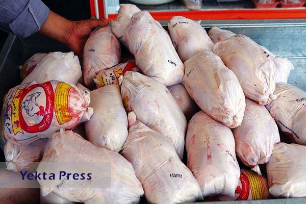 فروش مرغ بیشتر از ۶۰ هزار تومان تخلف است