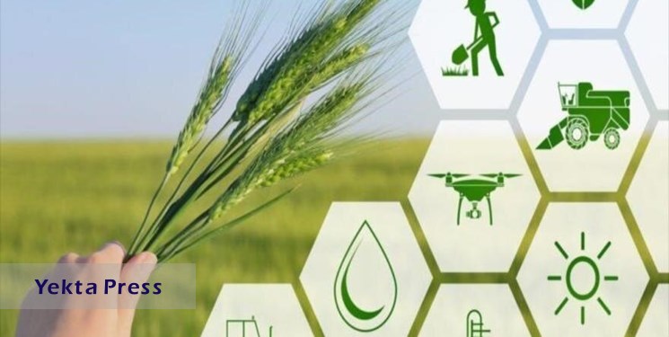 اجرای 6 طرح در بخش کشاورزی با مشارکت شرکت های دانش بنیان