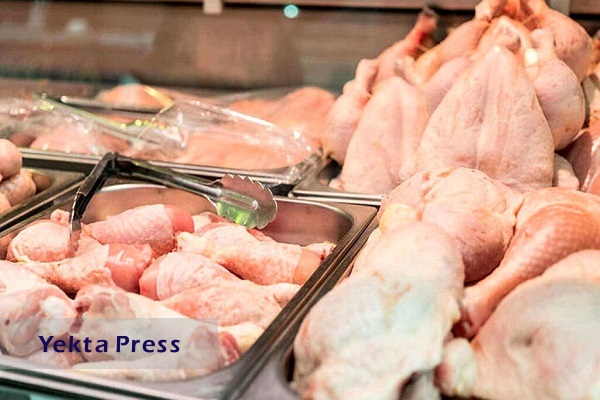 جدیدترین قیمت مرغ در بازار | هر کیلو ران مرغ چند؟