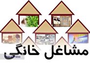 مهلت یک ماهه بانک های عامل برای پرداخت تسهیلات مشاغل خانگی