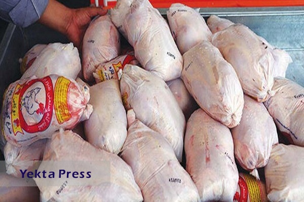 صدور مجوز جدید واردات ۵۰ هزارتن گوشت مرغ