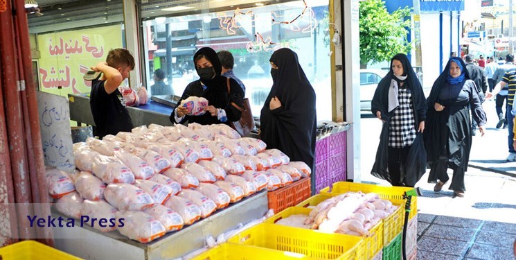 وزارت جهاد کشاورزی: نرخ مصوب مرغ همچنان ۶۳ هزار تومان است؛ با گران‌فروشان برخورد می‌شود