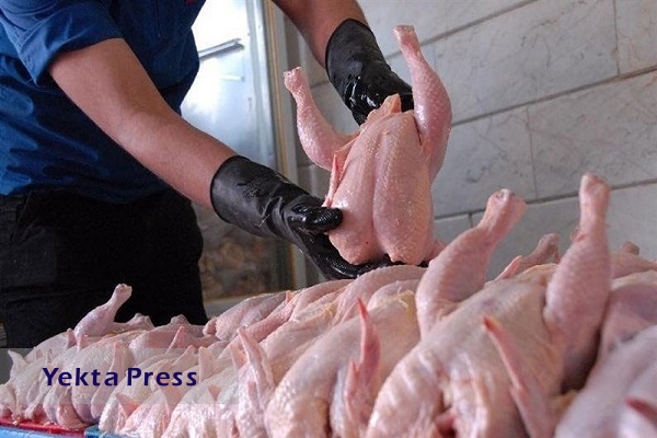 فروش مرغ در اولین روز ماه مبارک رمضان+ قیمت