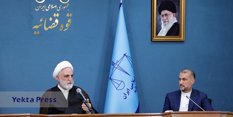 تأکید رئیس قوه قضائیه بر تقویت شورای‌عالی ایرانیان خارج از کشور