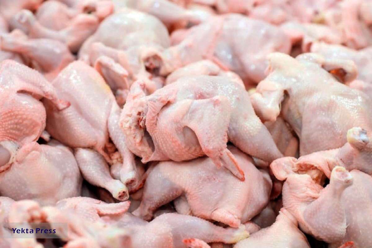 کاهشی قیمت مرغ در بازار