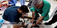 پزشکان غزه برای تسکین درد مجروحان «قرآن» می‌خوانند