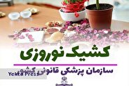 کشیک پزشکی قانونی استان تهران در ایام عید اعلام شد