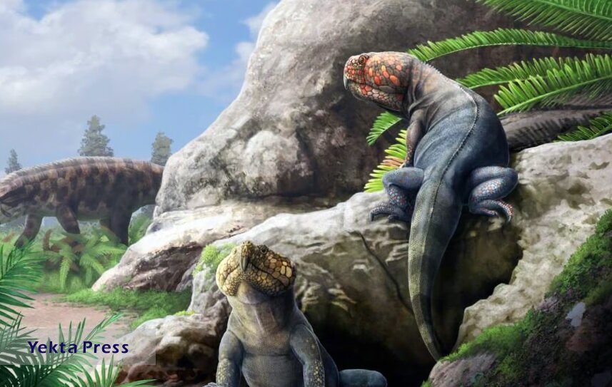 کشف یک گونه جدید از هیولاهای باستانی ۲۵۰ میلیون ساله