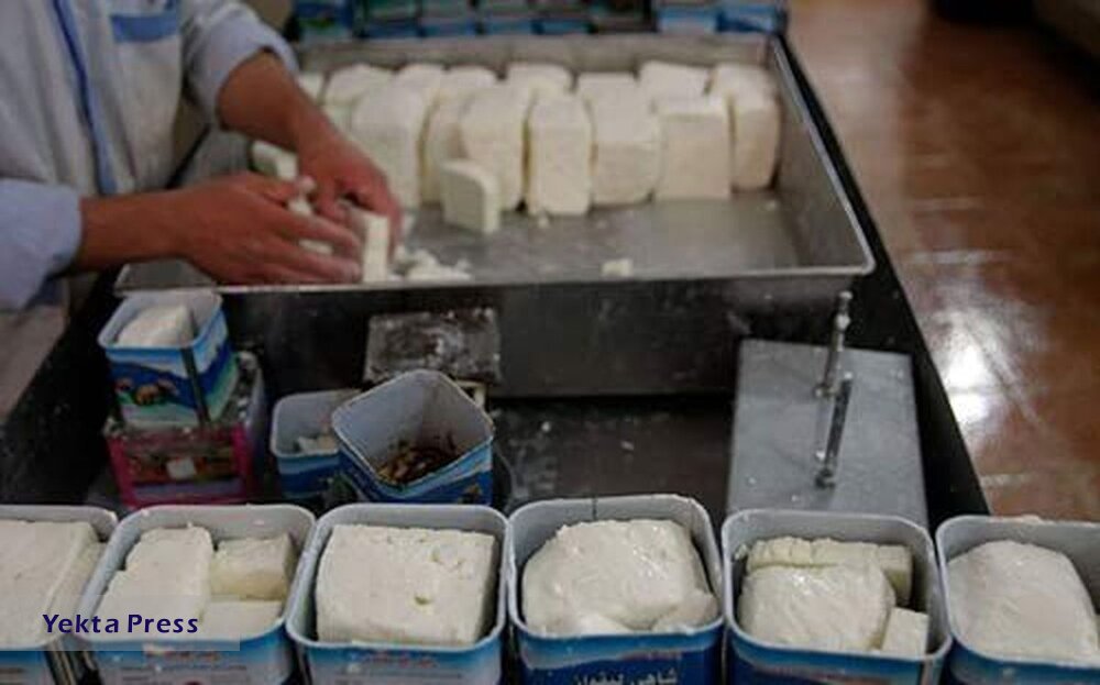 افزایش شدید قیمت پنیر در بازار