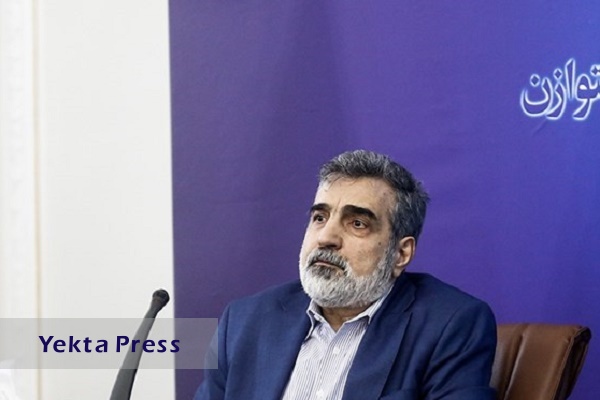کمالوندی: تهدید صنعت هسته‌ای ایران بی‌مفهوم است / توان ساخت راکتور‌های متوسط را داریم