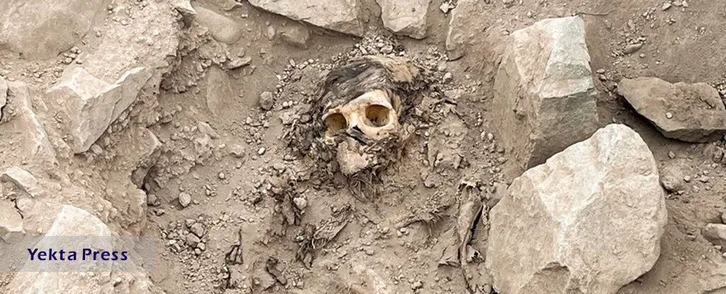این مومیایی ۳ هزار ساله قربانی بوده است؟