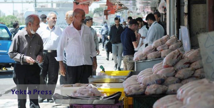 وزارت جهاد: مرغ در میادین کمتر از قیمت مصوب به فروش می رود