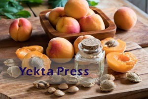 خواص مغز هسته زردآلو چیست؟