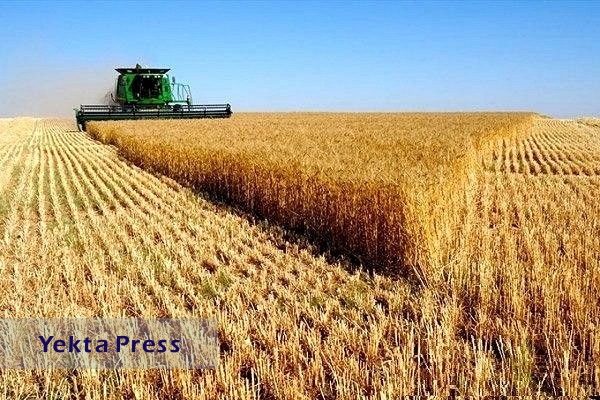 مقام اول تا دهم جهانی ایران در تولید ۲۲ محصول کشاورزی