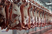 کاهش قیمت گوشت در راه است؟