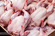 ماجرای واردات مرغ های آلوده از بلاروس چه بود؟