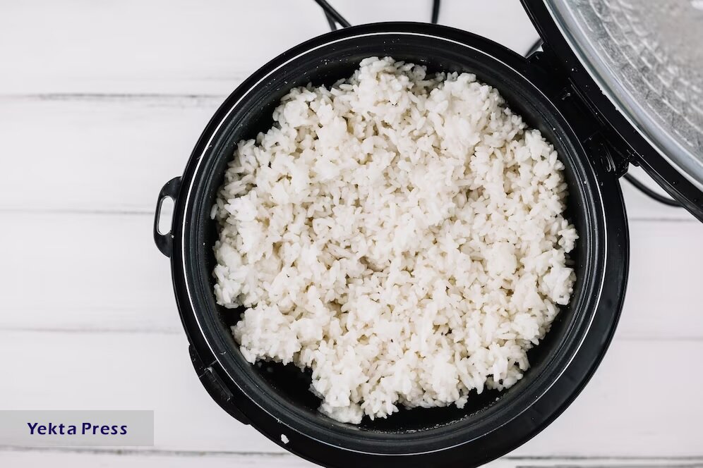 روش صحیح نگهداری برنج پخته در فریزر
