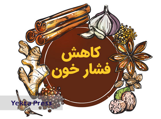 10 گیاه دارویی مفید برای کاهش فشار خون بالا