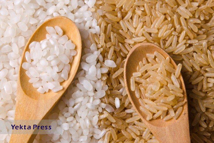 برنج سفید یا قهوه ای