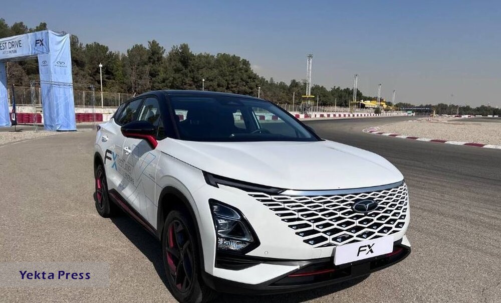 سقوطحبوب در بازار ایران
