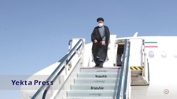 رئیسلویه شد